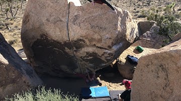 Joshua Tree - Strawberry Contraceptives V7