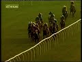 2004 arkells 3b bitter national hunt novices hurdle