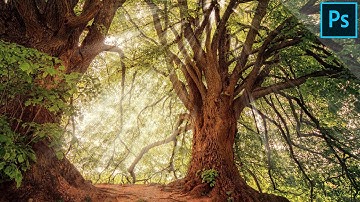 Add sun rays to your photo | Create sunbeams | PHOTOSHOP TUTORIAL - TIPS & TRICKS