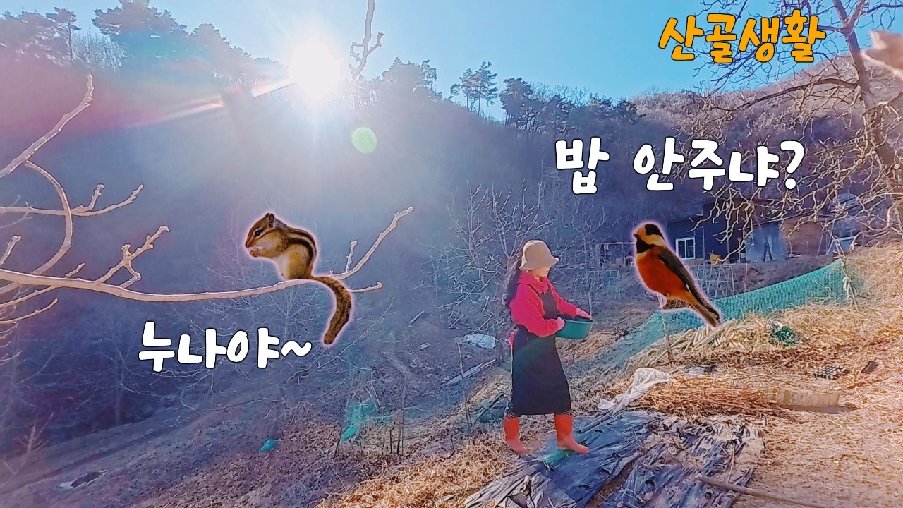 Блюдо из яблок, вынутое из земли | Мои милые друзья в горах