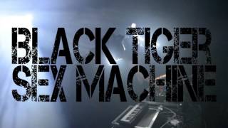 Black Tiger Sex Machine - Apashe - Dabin - Park Street Saloon 2/10/2016