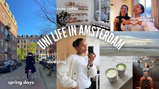 Week in the life of a student in AMSTERDAM | UNI VLOG