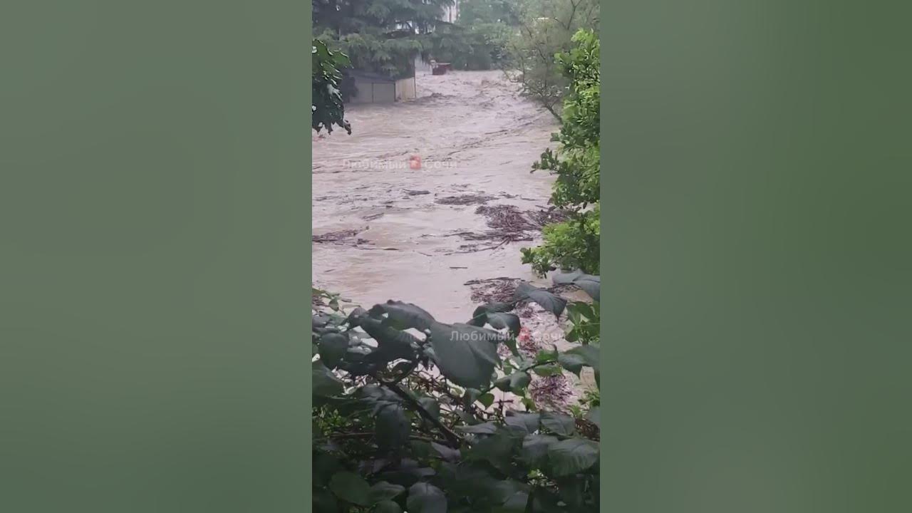 Ливень в сочи видео. Ливень в сочи видео