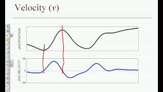 Celebrity Tasko Speech Lab: Physical Quantities Part 2 Net Worth