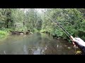 Flyfishing Нахлыст, рыбалка на маленьких реках.