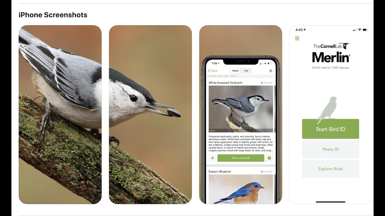 Bird net приложение. +Samsung +Birds +Pro купить. Flinch app with Bird.