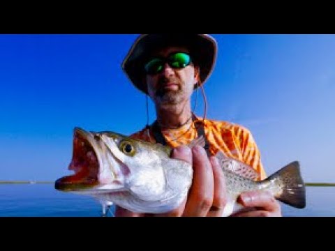 speckled-trout-smackdown-and-the-plan-that-made-it-happen