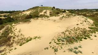 Dunes and Beach with P3S