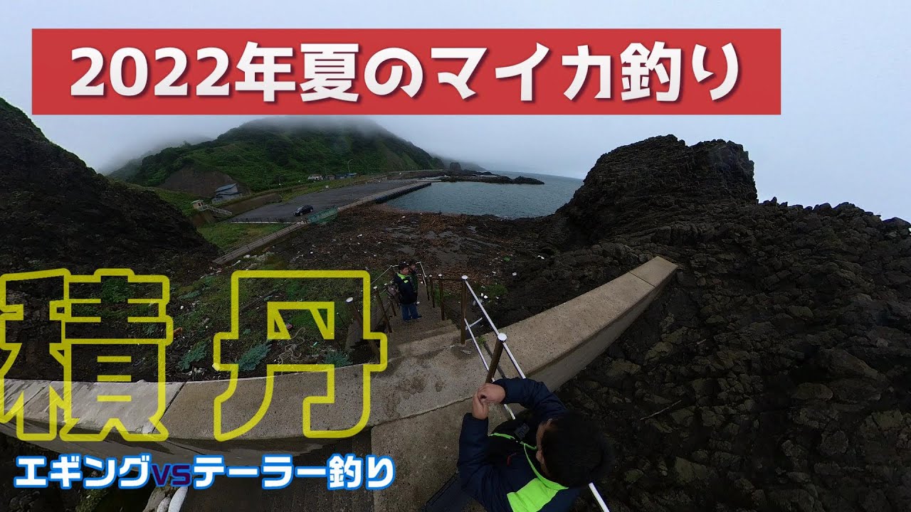 釣り日記 ７１ 22夏のマイカ釣り 積丹でエギングvsテーラー釣り マイカエギング Youtube