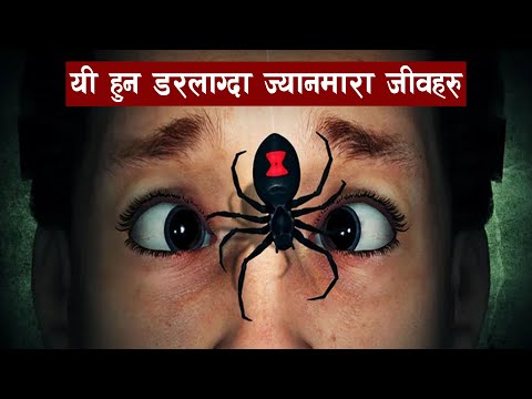 यी जीबहरु आकारको कारणले हैन बिषको कारणले खतरनाक छन् | Rare Bugs which are dangerous