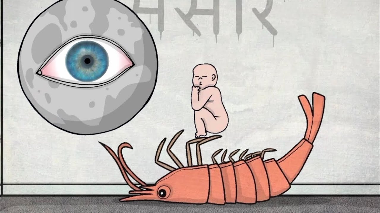 经过重重困难终于投胎成人了！！！【轮回的房间】（4）