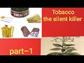 why can't you smoke tobacco in amsterdam coffee shops Smoking ban hits Amsterdam's marijuana cafes