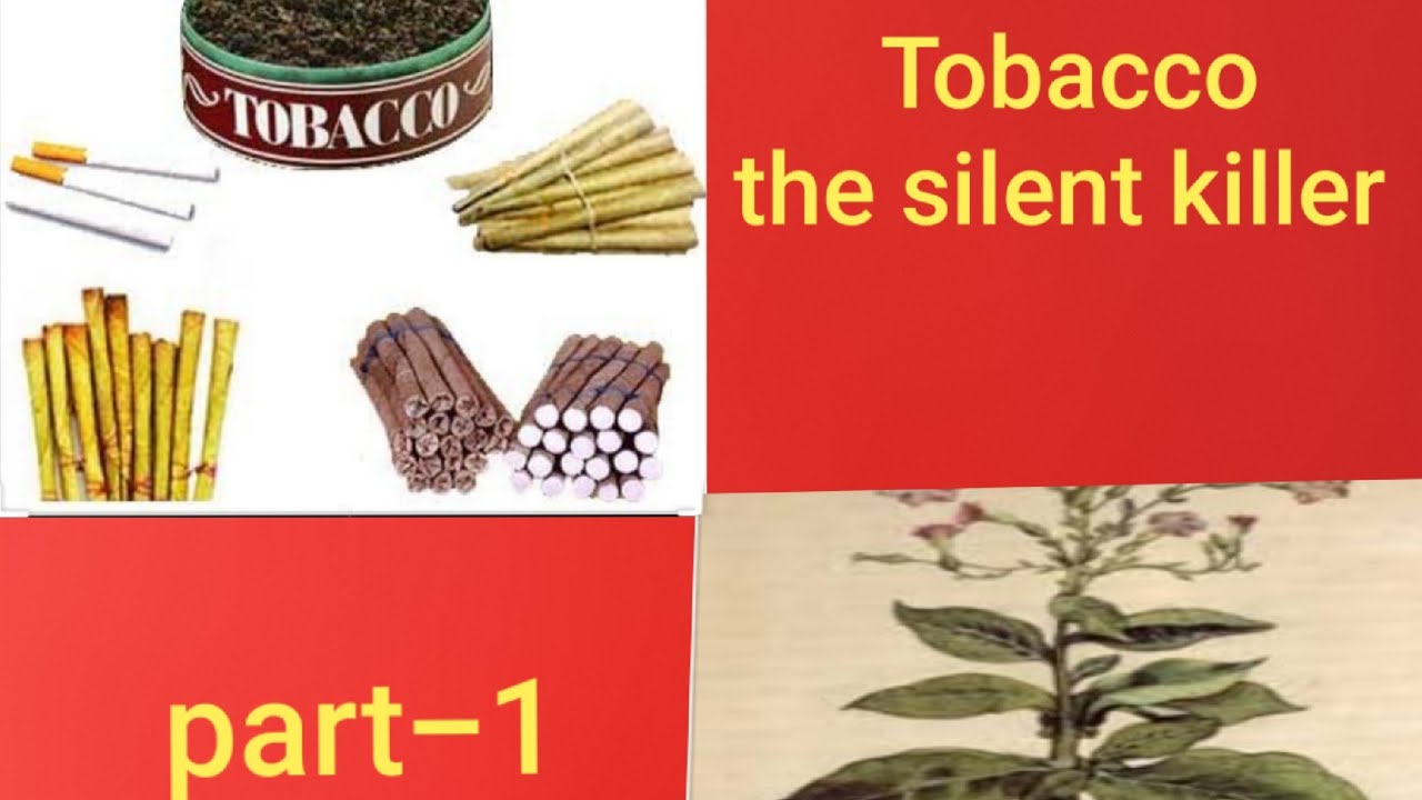 tobacco the silent killer class 7th solutions Tobacco - the silent killer / chapter of class 7th /tulip series by  Tr.Manisha Dubey