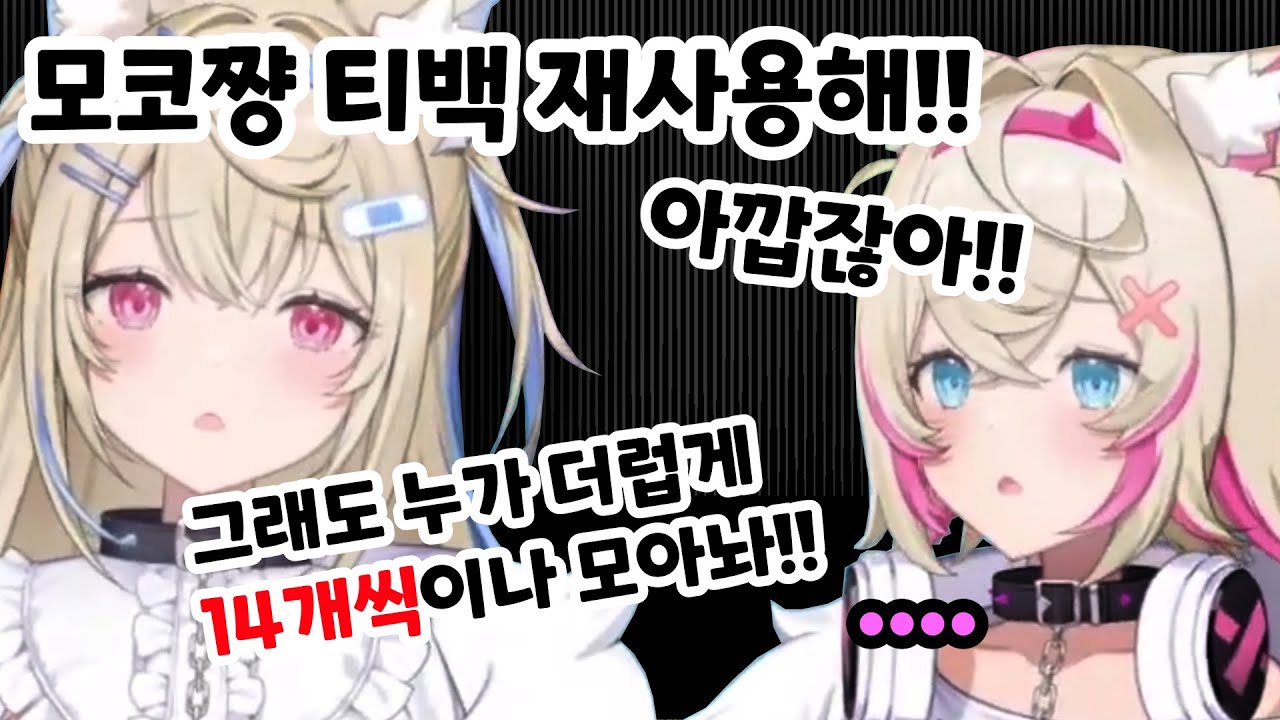 아끼는건 좋지만 모코코야.... 2주치 티백은 좀 그래...