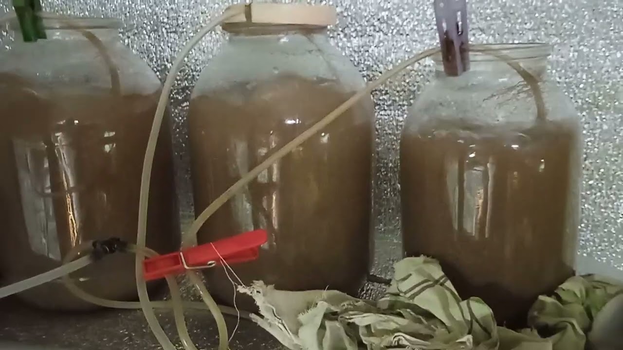 Немного о разведении рыбок.