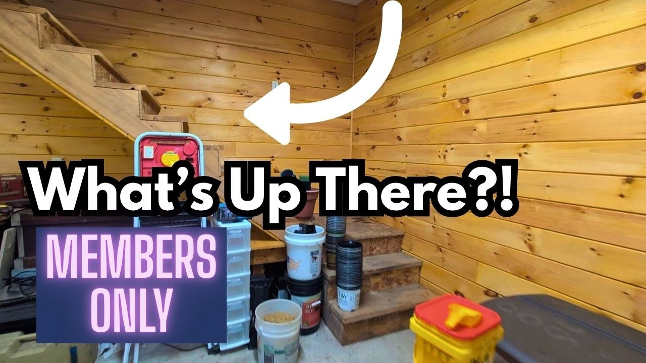Behind The Scenes Tour (My Barn & Shed) - Members Only 🌸 - YouTube