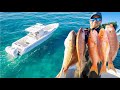 Deep Sea Fishing in a 1200 Horsepower Boat! - Tropical Fishing Videos [Catch and Cook]