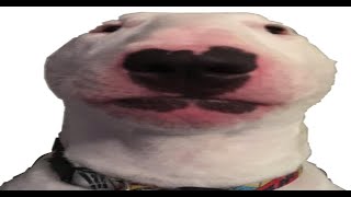 YOUR MOM SIMULATOR ROBLOX screenshot 5