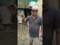 Poultry farm visit at ALEPHATA. #poultryfarm #ACpoultry#poultryfarmbusiness #maharashtra