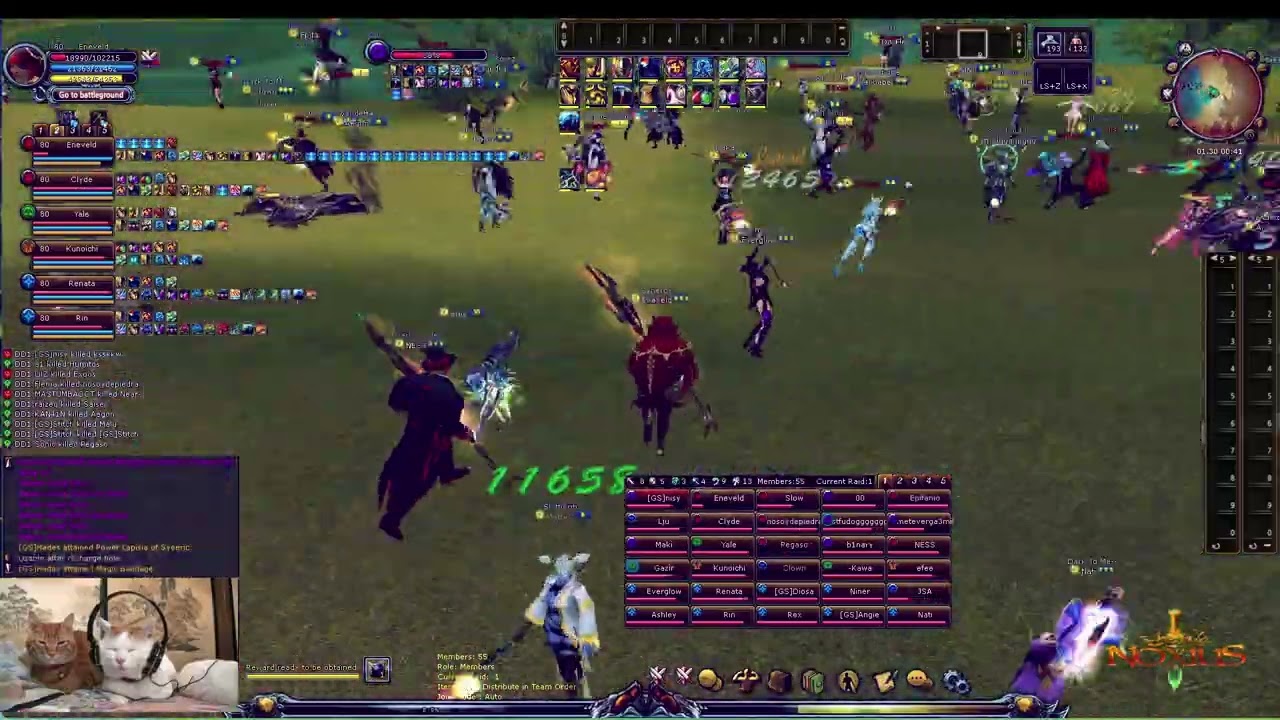 Shaiya Noxius | Synergy