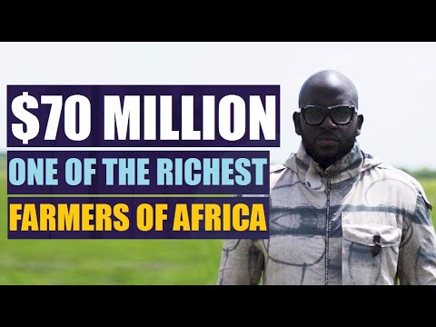 Video: Kan du tjäna pengar på att odla ris?