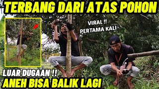 VIRAL !! TERBANGKAN MERPATI DARI ATAS POHON ANEHNYA BISA KEMBALI LAGI