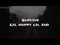 Lil happy lil sad - survive lyric video