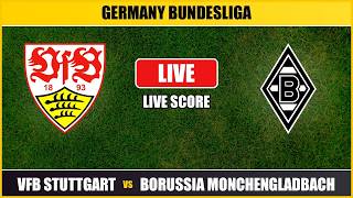 VfB Stuttgart vs Borussia Monchengladbach | Germany Bundesliga | Live Score