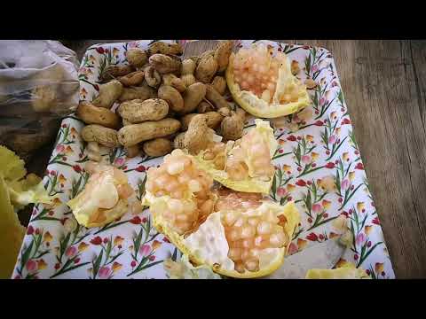 BUGÜN MENÜDE NE VAR ???? Bugünkü Menüm ???? Bugun Ne Pisirsem Kolay Yemek ???? Ne Yemek Yapsam ????