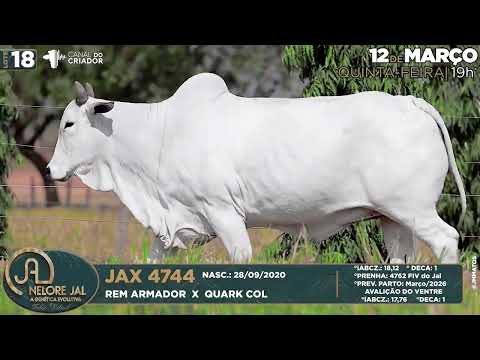 LOTE 18    JAX 4744