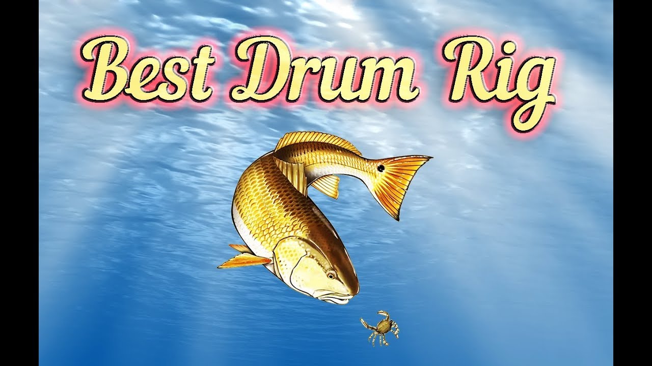 Best Redfish and Black Drum Rig 