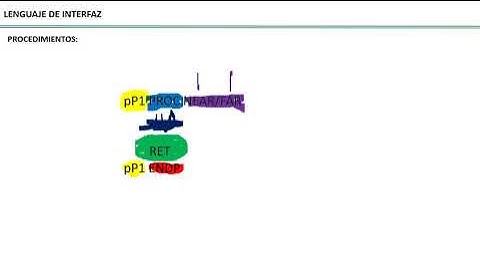 Unidad 3. Clase 2. Procedimientos