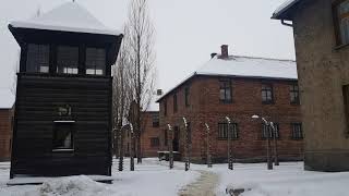 #225 Аушвиц-Биркенау концентрационный лагерь в Освенциме. Польша.