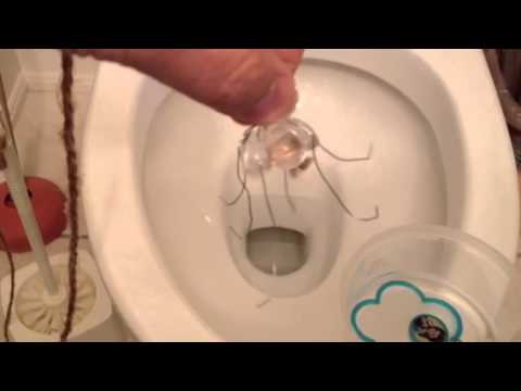 Video: Kitten Flushed Down Toilet Los Ntawm Tus Me Nyuam Yog Qhov Txuj Ci Tseem Ceeb