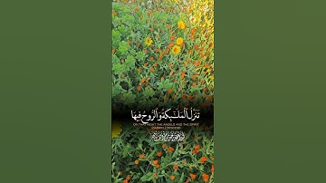 سورة القدر #سورة_القدر #ليلة_القدر #اللهم_صل_وسلم_على_نبينا_محمد #اكسبلور #foryou