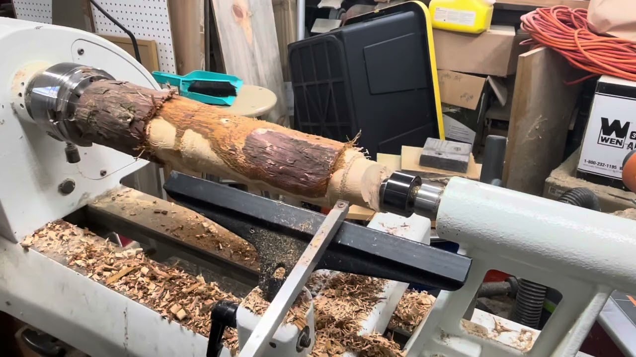 Part 1 Project Mushroom feature