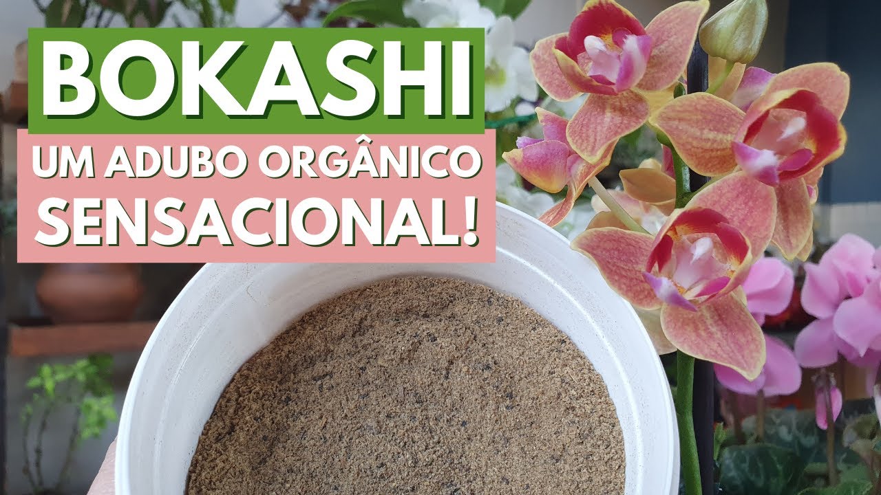 BOKASHI, O MELHOR ADUBO ORGÂNICO PARA SUAS PLANTAS! DICAS DE ADUBAÇÃO! CANAL MEU QUINTAL