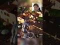 #fortnite