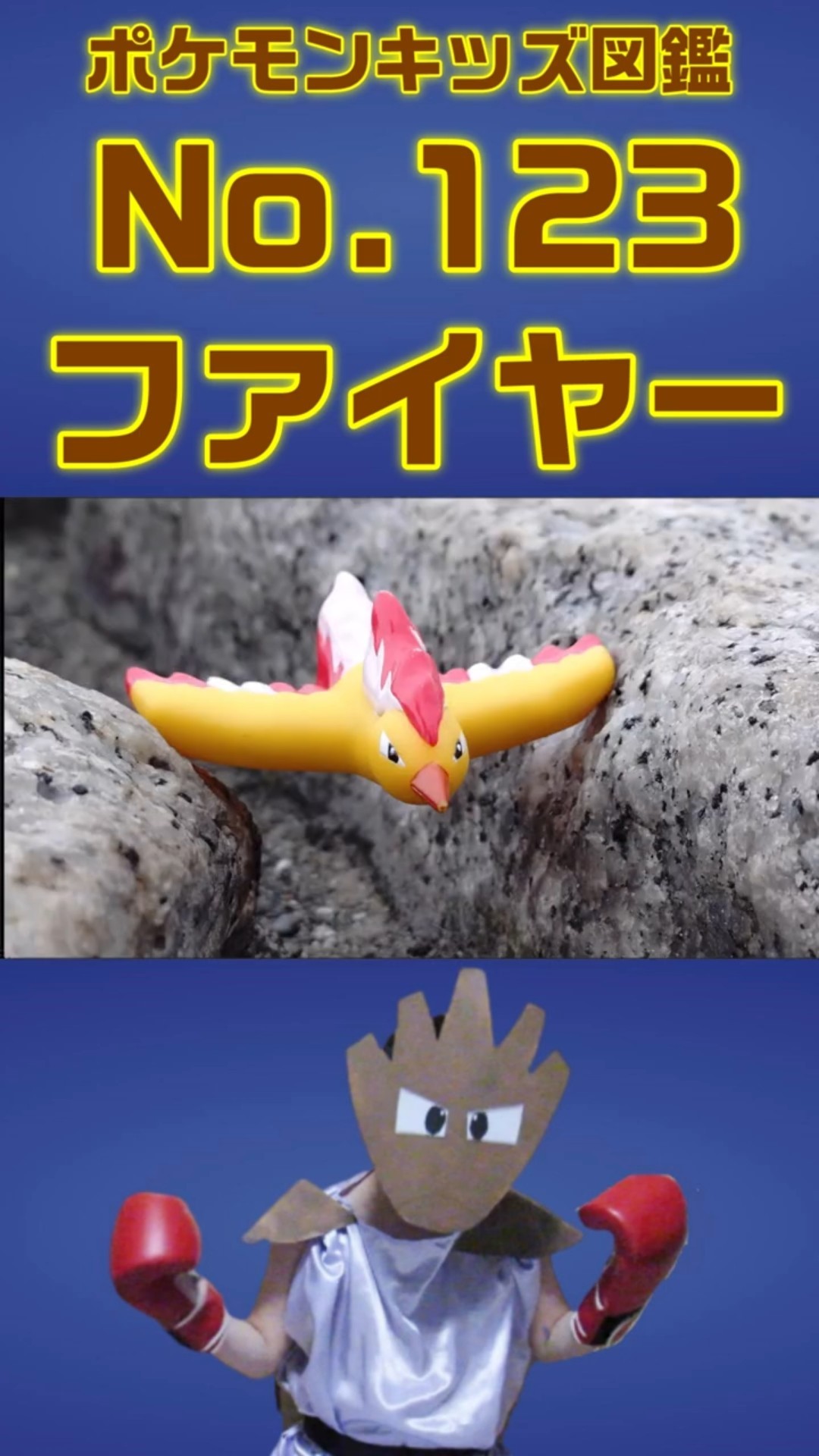 ポケモン実体図鑑No 123ファイヤー #ポケモンキッズ #ファイヤー - YouTube