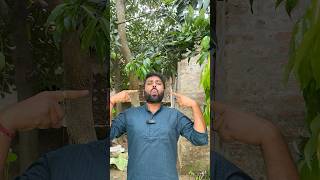 How to Spit a Seed Like a Pro 🧐#shorts #trending