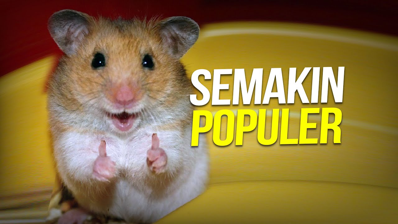 Keluar dari Lab jadi Seleb #AlamSemenit