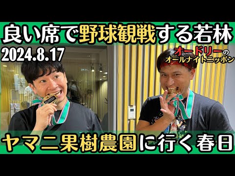 【オードリー・ラジオ】良い席で野球観戦する若林・ヤマニ果樹農園にいく春日2024.8.17オードリーのオールナイトニッポン