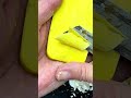 ASMR SOAP CUTTING 💛🫧💛🫧💛