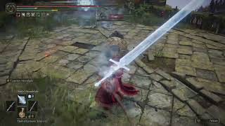 Elden Ring- How to Easily Counter the Erdtree Greatshield as a Spell Caster!