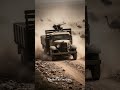 The War Australia Lost To Birds