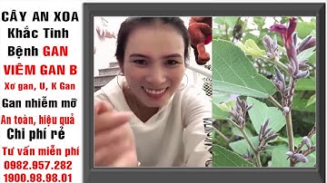 Đánh Bay Viêm Gan B, Xơ Gan Trong 4 Tháng điều tuyệt vời nhất từ cây An Xoa