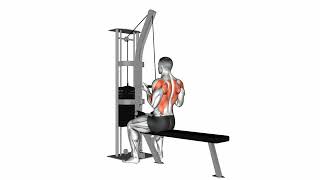 Cable Reverse grip Straight Back Seated High Row