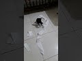 دا اللى عملته مع المناديل مش عايز اقولك كسرت ايه امبارح دا اللى عملته مع المناديل مش عايز اقولك كسرت ايه امبارح