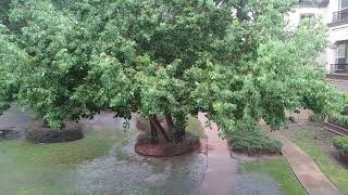 God please forgive Huricane Maria