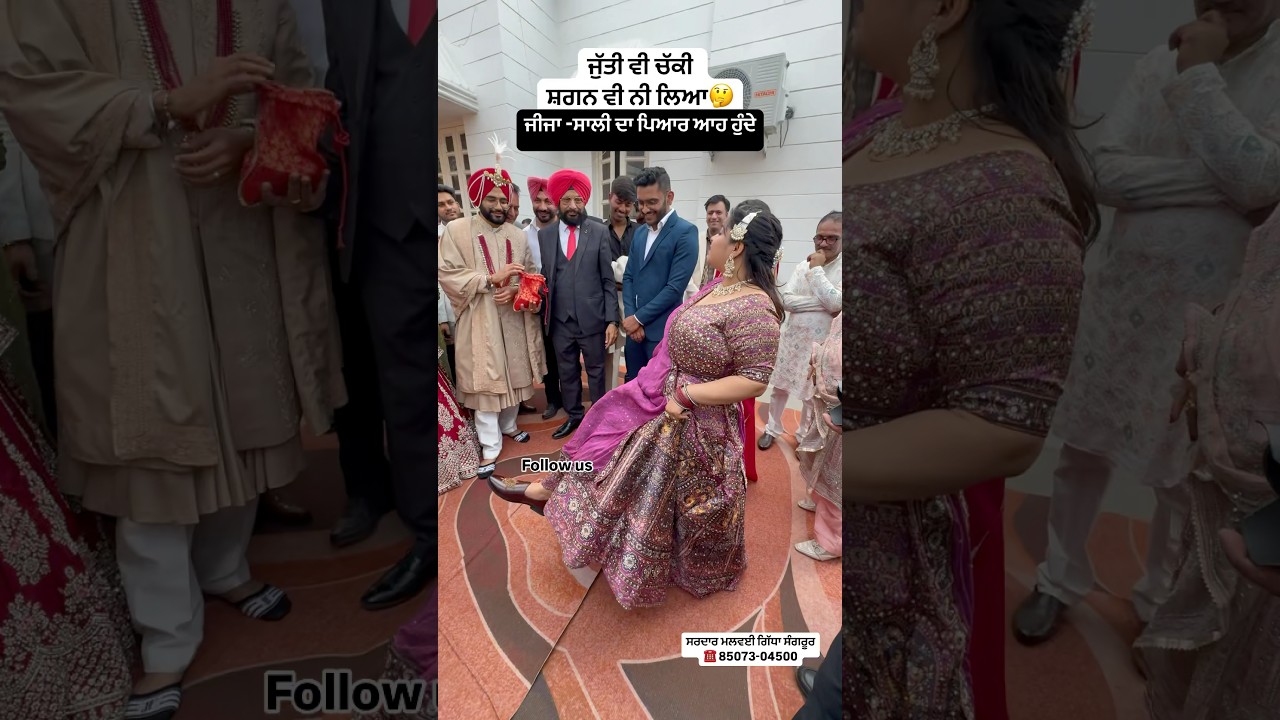 SARDAR MALWAI GIDHA GROUP SANGRUR || malwai gidha || GIDHA GROUP || malwai gidha group || jaggo